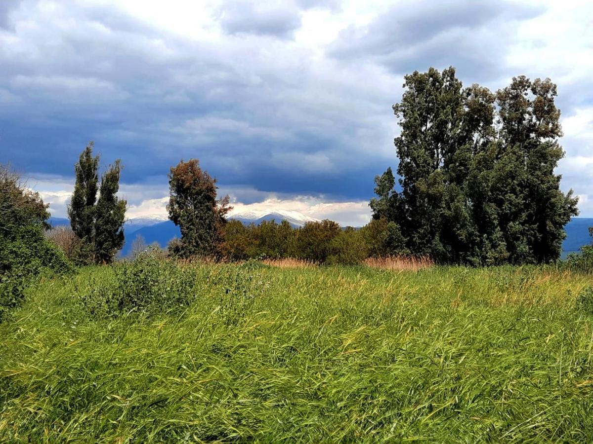 בית קסום בשדה נחמיה Βίλα Εξωτερικό φωτογραφία